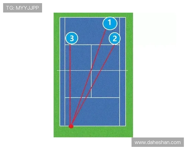 上海网球队在比赛中的表现分析与战术控制的得失总结