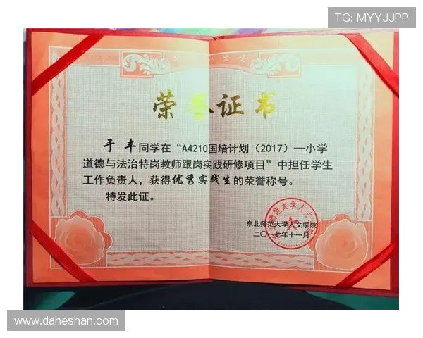 南京排球队逆袭之路揭秘锦标赛背后的奋斗与荣耀