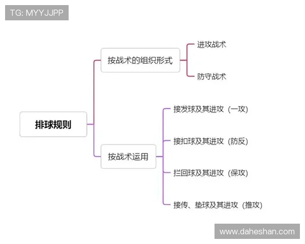 杭州排球队区域防守策略解析与深度剖析排球战术的奥秘 杭州排球队区域防守策略解析与深度剖析排球战术的奥秘