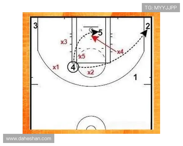 深入剖析上海篮球队各位置球员实力对比与战术布局解析